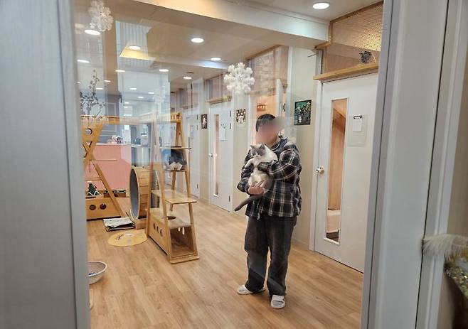 [서울=뉴시스] 반려동물을 설 연휴 때 맡기는 이유는 다양한데 이 중 국내에 있는 고향을 방문하기 위한 게 대표적이다. 사진은 보호자가 고양이 반려동물 호텔 속 보호 고양이를 안은 모습. (사진=캣츠아일랜드 제공) 2025.01.25. photo@newsis.com *재판매 및 DB 금지