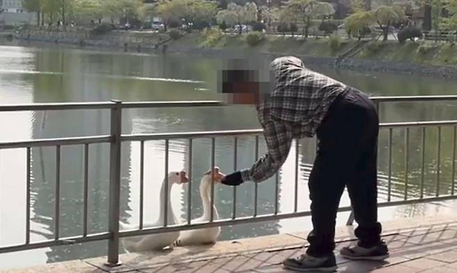 동물자유연대 블로그 갈무리