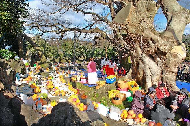 제주 와흘 마을제…무사안녕 기원 [연합뉴스 자료사진]