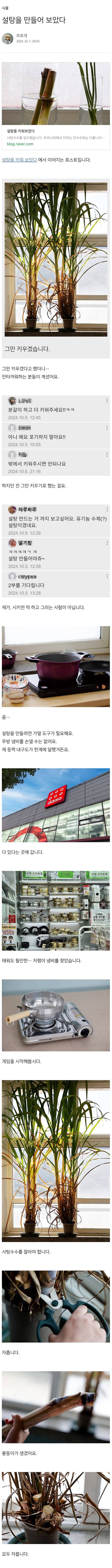 d1df2k3_01.jpg 화분에 키운 사탕수수로 설탕 만든 드루이드 화분에 직접 키운 사탕수수로 설탕까지 만든 드루이드