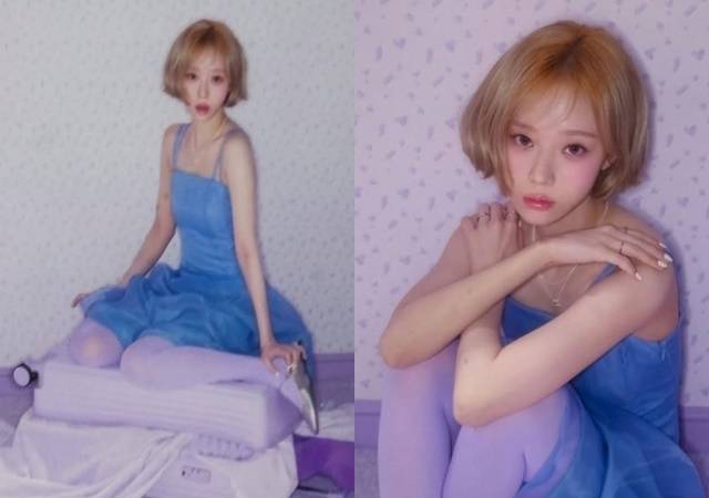 윈터 소셜미디어