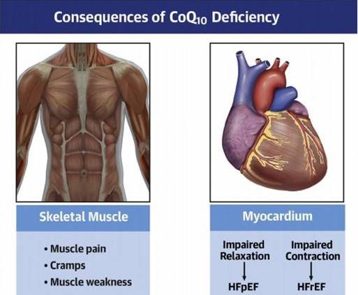 * AE Raizner, et al. J Am Coll Cardiol 2021