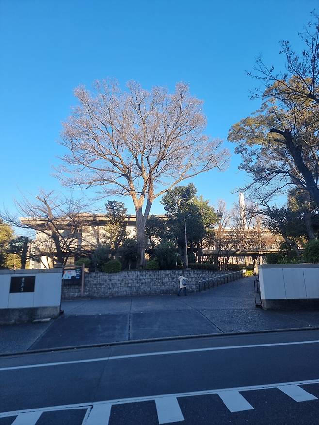 1000089546.jpg 나카메구로 갔습니다