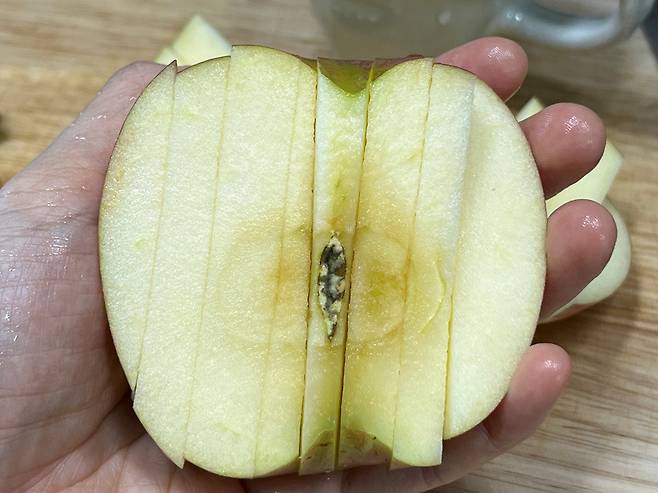 사과 그냥 자르지 마세요! 가장 쉽고 편리한 사과 손질법 | 텐꿀팁