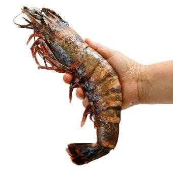 칵테일 새우로 정정해주세요