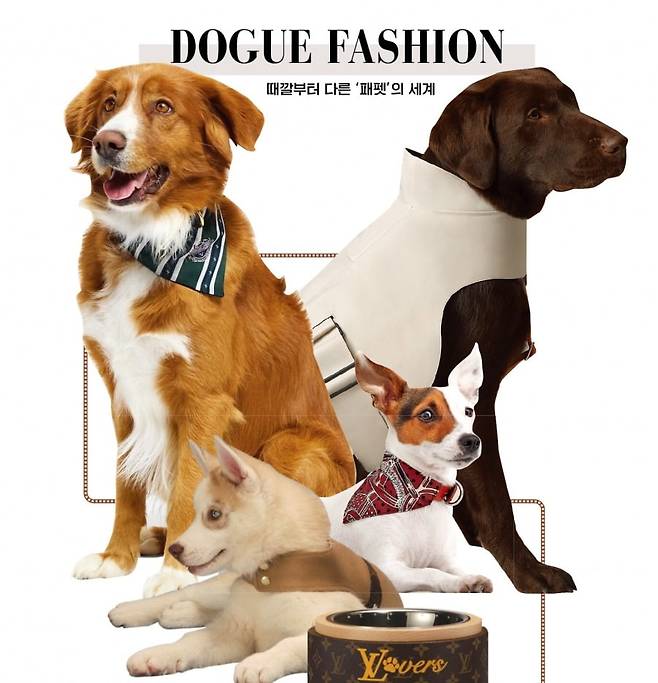 (1) 남성용 타이를 재해석한 루이비통 도그 반다나 MM. (상단 왼쪽)
(2) 폴리아미드 소재의 에르메스 반려견 레인코트. (상단 오른쪽)
(3) 모노그램 캔버스 소재로  만든 루이비통 도그 볼. (하단)
(4) 반려견 목걸이 위에 착용할 수 있는 에르메스 반다나. 에르메스·루이비통 홈페이지 캡처 (가운데 오른쪽)