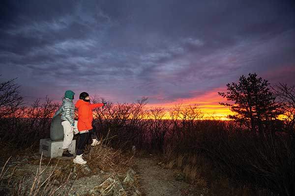 떠오르는 해가 내뿜는 빛이 오로라처럼 퍼진다.