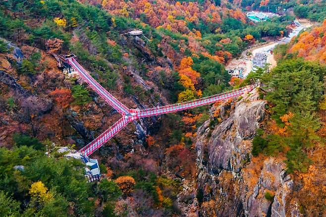 출렁다리