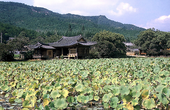 서출지<경주시청>