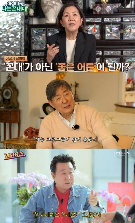 [서울=뉴시스] 이성미(맨 위부터), 노주현, 임하룡. (사진=유튜브 채널 '이성미의 나는 꼰대다' '노주현' '임하룡쇼' 캡처 ) 2025.01.31. photo@newsis.com  *재판매 및 DB 금지