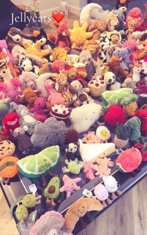 한 브랜드에서 나오는 신상품 인형을 수집하는 애호가들이 많다. 틱톡 캡처(@thejellycatgirl)
