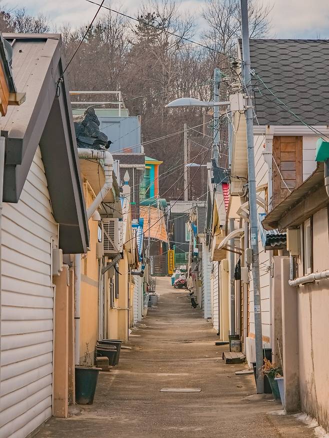 20250202_105839.jpg 강릉, 속초 여행 (맛집,카페)