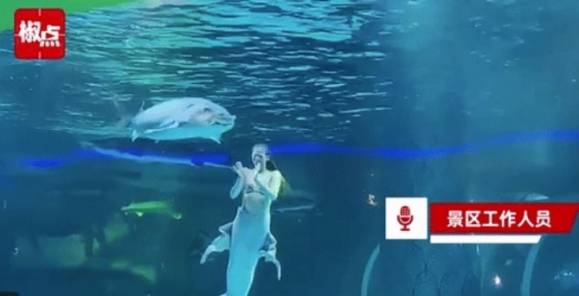 중국의 한 관광지에서 인어 공연 도중 거대 철갑상어가 배우의 머리를 무는 아찔한 사고가 발생했다. 하오칸스핀 갈무리
