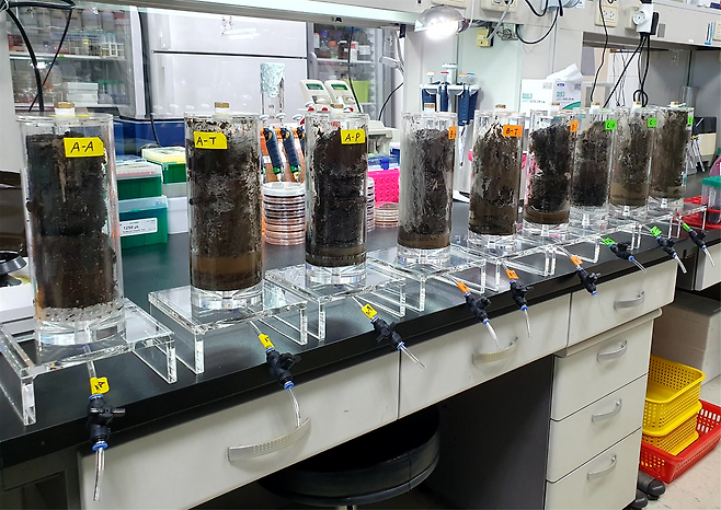 김덕규 극지연구소 책임연구원, 김민철·이영미 극지연구소 선임연구원 연구팀은 기후변화가 영구동토층에 잠들어 있는 병원균을 깨울지, 깨어난 병원균들이 병원성을 갖는지 알아보기 위해 모사 실험을 진행했다. 극지연구소 제공