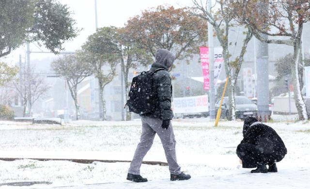 4일 오전 제주시 연동 일대에 폭설이 쏟아지고 있다. 연합뉴스