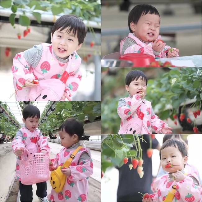 KBS2 ‘슈퍼맨이 돌아왔다’ 제공