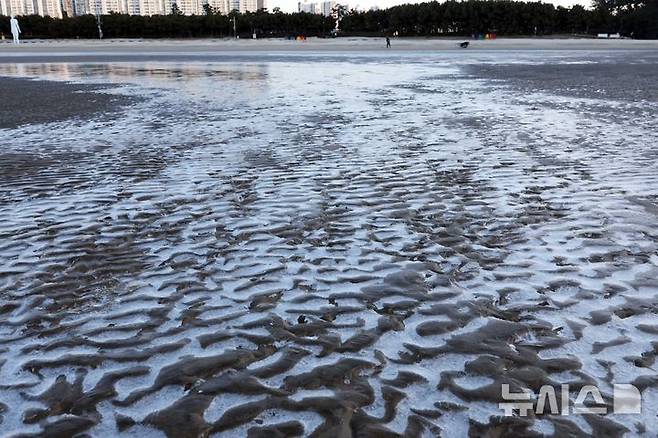 [부산=뉴시스] 하경민 기자 = 전국에 한파가 덮친 4일 부산 사하구 다대포해수욕장 백사장 일부가 얼어 있다. 2025.02.04. yulnetphoto@newsis.com
