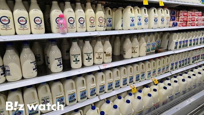 호주 대형마트 내 우유 매대 /사진=김지우 기자 zuzu@