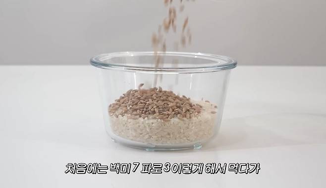유튜브 〈공부왕찐천재〉