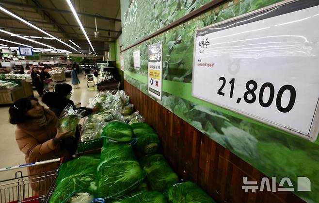 [서울=뉴시스] 김명년 기자 = 서울시내 한 대형마트에 배추가 진열돼 있다. 2025.01.13. kmn@newsis.com