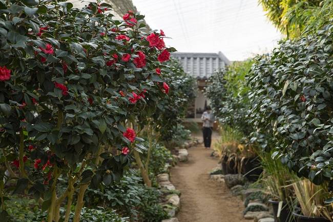 가평 이화원 정원 ⓒ경기관광공사 제공