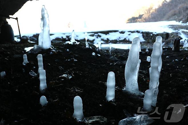 충북 제천시 덕산면 수산리 보덕암 인근 보덕굴 '거꾸로 자라는 고드름'.2025.2.6/뉴스1