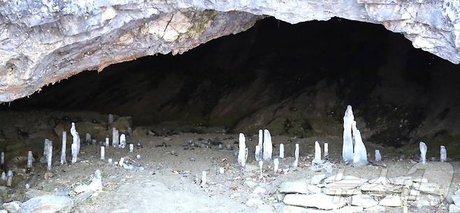 충북 제천시 덕산면 수산리 보덕암 인근 보덕굴 '거꾸로 자라는 고드름'.2025.2.6/뉴스1