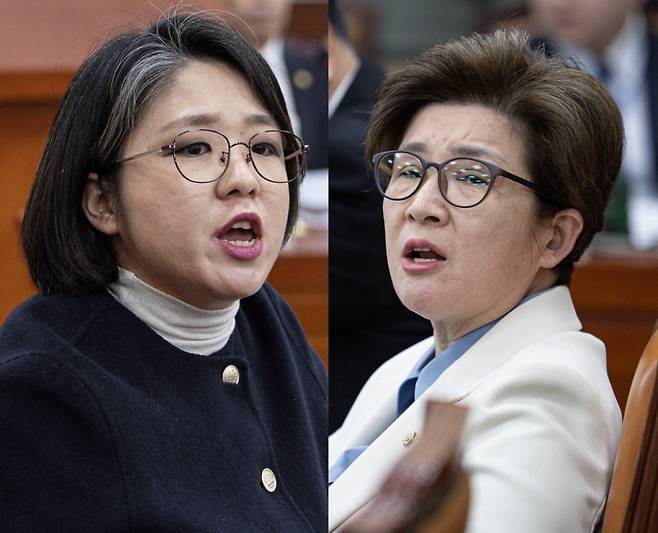 강선영 국민의힘 의원(오른쪽)과 용혜인 기본소득당 의원(왼쪽)이 6일 국회 '윤석열 정부의 비상계엄 선포를 통한 내란혐의 진상규명 국정조사 특별위원회'에서 설전을 벌이는 모습.  / 사진=뉴스1
