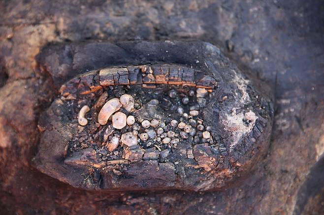 [서울=뉴시스] 수정 목걸이가 담긴 나무상자 (사진=국가유산청 제공) 2025.02.06. photo@newsis.com *재판매 및 DB 금지