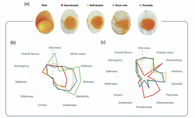달걀의 삶은 정도에 따른 맛과 식감을 분석한 연구 결과. 에르네스토 디 마이오 이탈리아 나폴리페데리코2세대 교수 제공