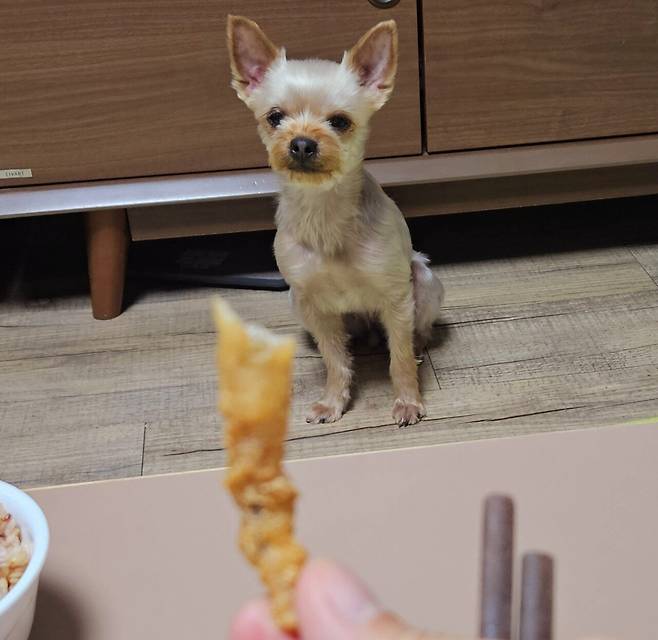 20250206_224933.jpg 저녁 포장해온 미꾸라지 튀김에 한잔