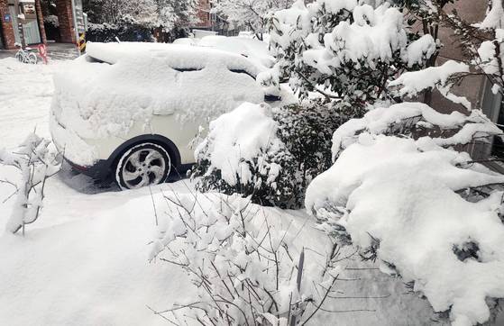 7일 전북 전주시 골목길에 세워진 차량과 나무에 눈이 수북이 쌓여 있다. 연합뉴스