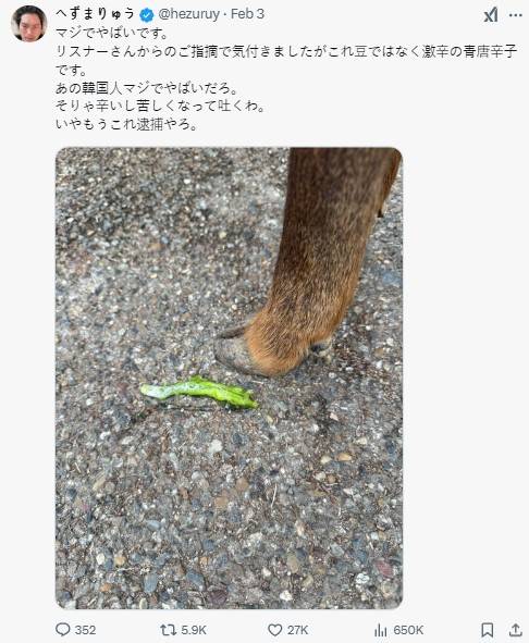 유명 유튜버 ‘헤즈마류'가 지난 3일 자신의 X(옛 트위터)에 한국인 관광객이 사슴을 학대했다고 주장하며 게시한 글과 사진. X캡처