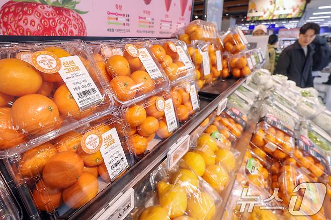 서울의 한 대형마트에서 시민들이 귤 등 과일을 고르고 있다. 2024.12.29/뉴스1 ⓒ News1 민경석 기자