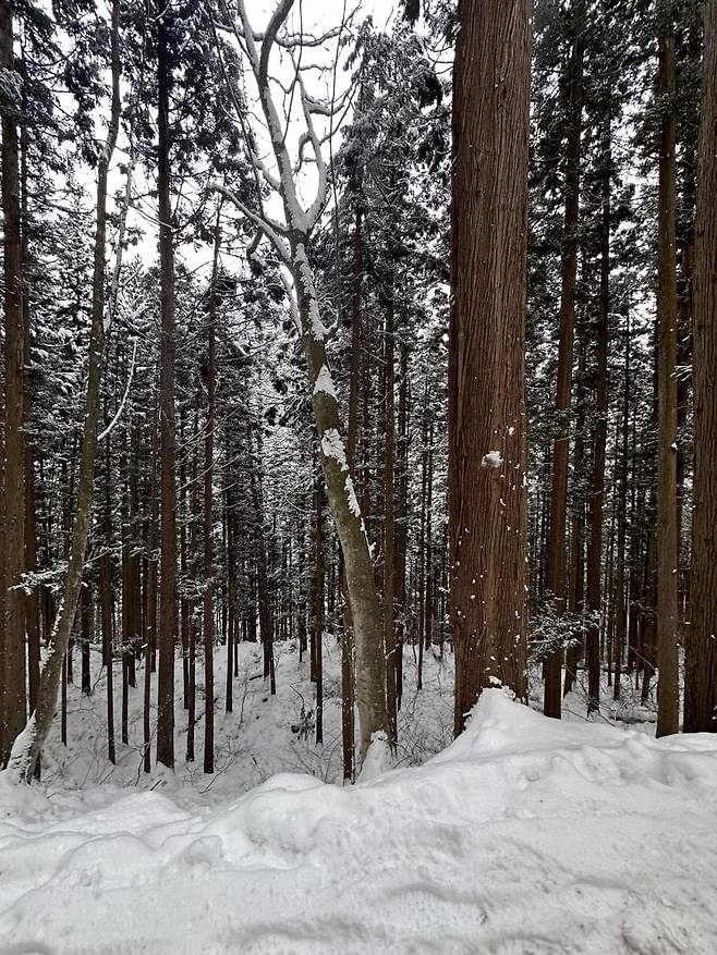 viewimage.php?id=23b2db27ebc637&no=24b0d769e1d32ca73de884fa1bd6253194dd6d0fcd22fa9acf7ca3b80b2032abde92fb2b7d2f04bb3122f93202451e79b319a22585c39075c127e00c55b31bf8713ab9