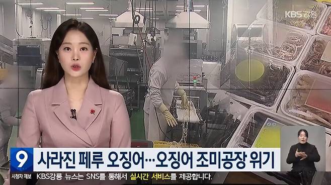 진미채, 오징어 안주, 등등 오징어 가공류 근황 ㄷㄷ.jpg