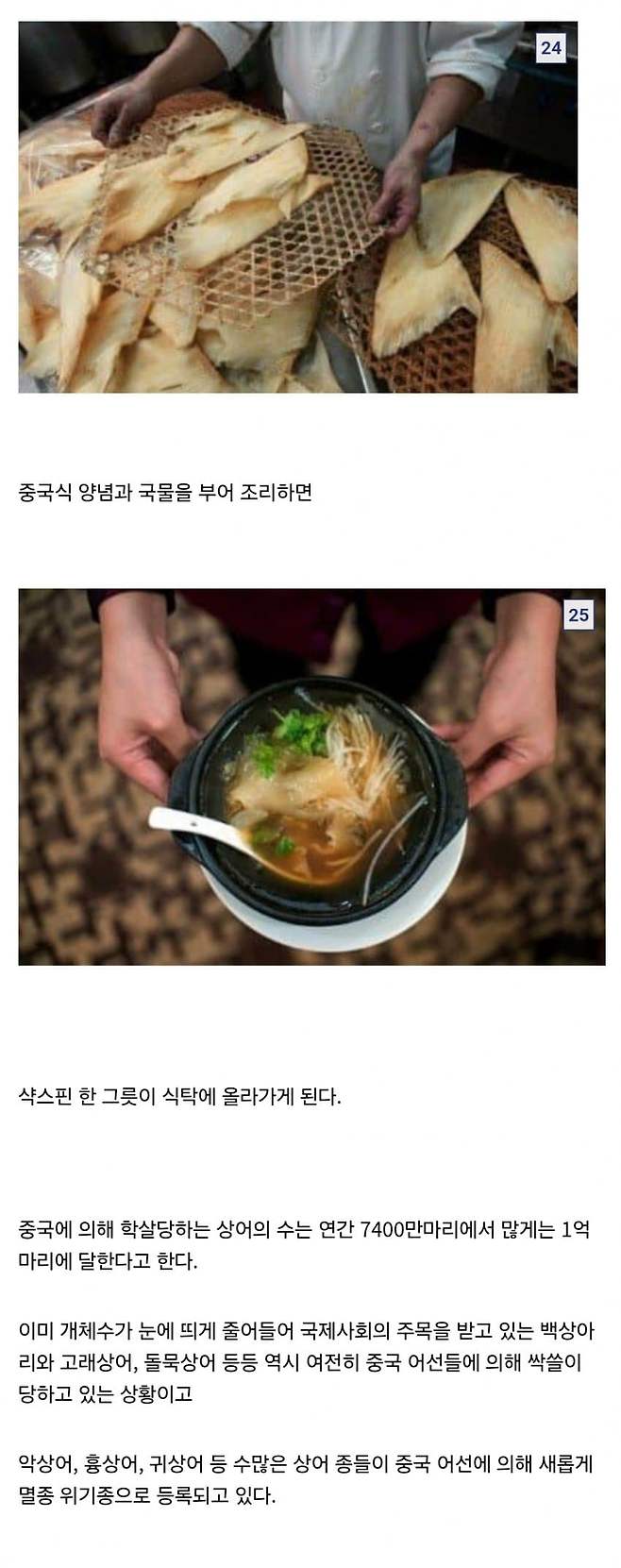 14.jpg 중국요리 샥스핀의 추악한 진실