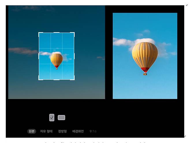 스마트폰에 탑재된 멀티 카메라 시스템 중 하나인 ‘자르기 기능’을 활용하면 화질 손상 없이 줌 효과를 얻을 수 있다. 김성주 사진가 제공