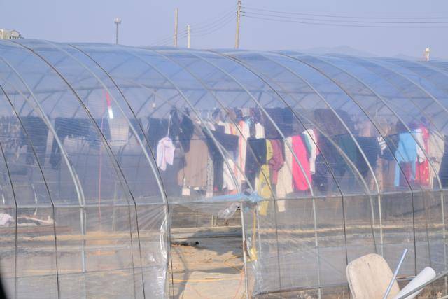 경기 포천시의 한 빈 비닐하우스에 여성 이주노동자들이 빨래를 널어놓았다. 컨테이너 가건물 기숙사는 통풍이 되지 않아 빨래 말릴 곳이 없다. 바람이 통하고 햇빛만 드는 곳이라면 곳곳에 빨래를 널어놓은 것을 볼 수 있었다. 포천=최주연 기자