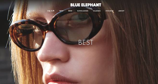 /블루엘리펀트 홈페이지 캡처