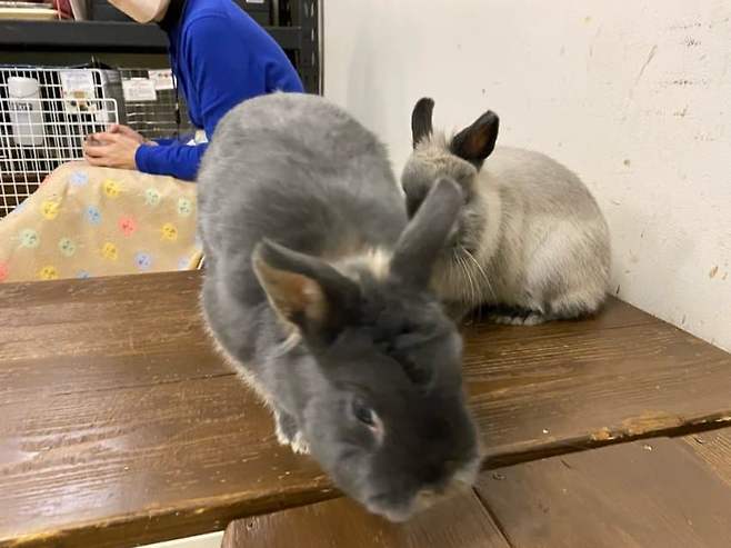 7eee8300b2f16ef723eb8697419c706ba86bb29febedcd7397602f4ac1ac109c6e7c5e102bc9b8a3be491027d3b508a6e7f6eee9