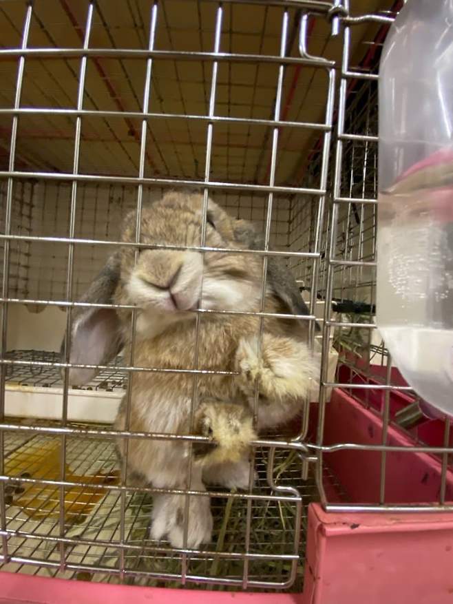 0beff571b3f61c8323e8f7e3469c701b5001e0d7ef9ce9551ac32314bf4d119b805fc9b68906e06db12b3463855115fdaaa14f06