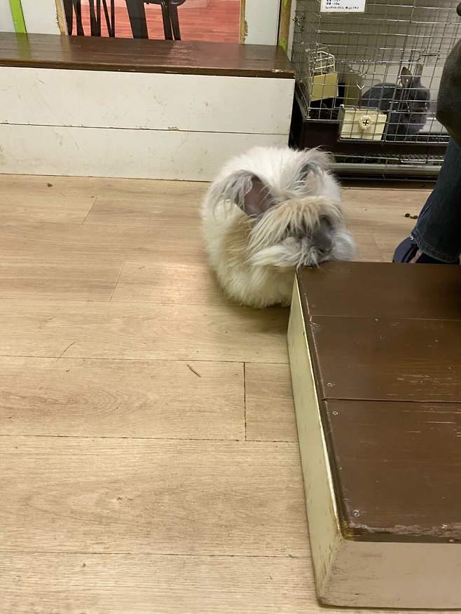 0eecf170bc8161f5239e8196379c7065cb4f9e5af46f0129c664346bd00a818a8c96757663d516d3a4d0473775da6a9bb7a394d4