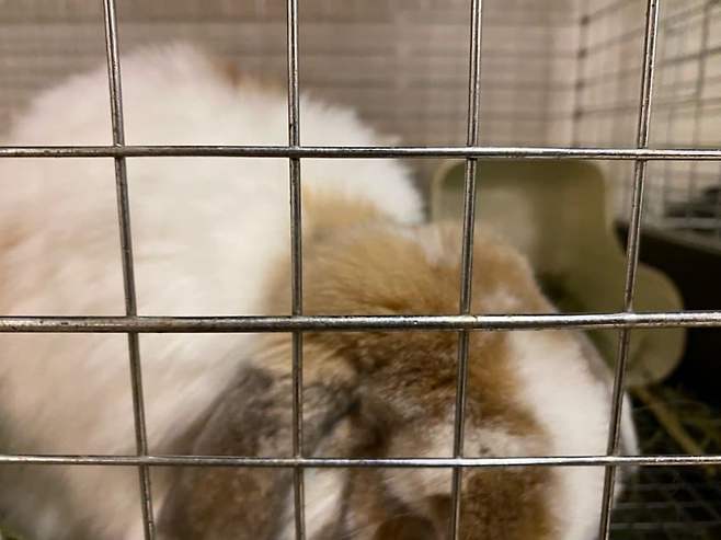 089e8500c48460ff23ee83e6359c706d923fc1dc2a885280e1b374145db4dd678c1ba9e495b03cef339df9153e62a0b2ae6924cf