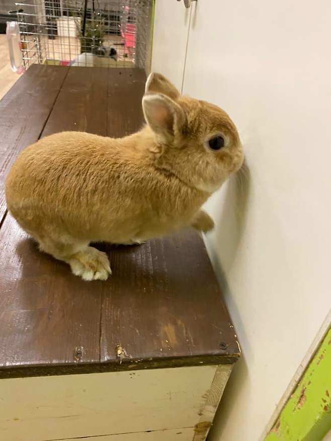 0e9b8000b1f31dfe239b81e2309c701e86587807ee7214f4d8b9a4ca701cd7511515098474968e468df5d8897c341a14d03cea2f