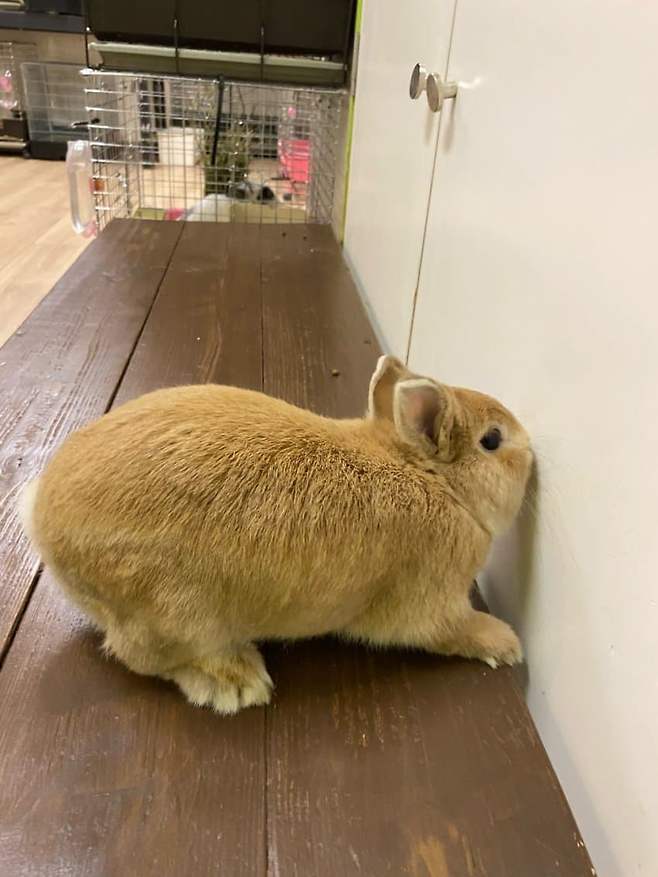 0f9bf374c6876af323e683e5449c701948cc743f053a589b4fd5c4baec6c5cb186bba2e6b49eed97869610b80c86210329009d28