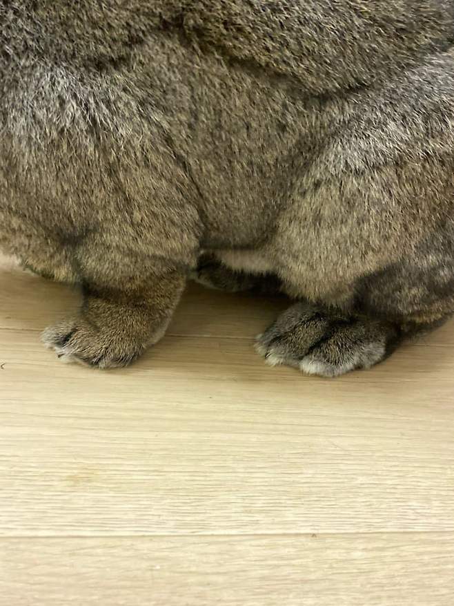 0fed8900bd8a6cf6239b86e6459c706dee1704290ef2f919140eaf0bfc4e9e074db9ff6c620b3225bb0e872f6e20346c872edaeb