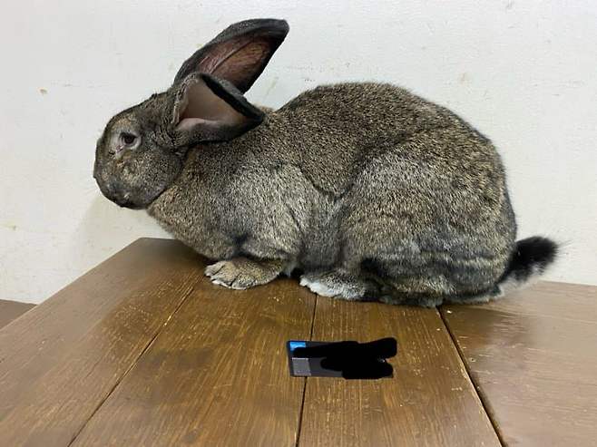 7b9cf473c38b688323ee80e24f9c706bf0fe697c763550960a3bd187af5ef6f4ca5772de9d4b3ac60d4b588833a12b42611eac49