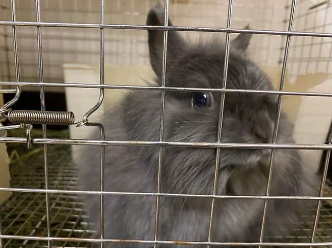 0e9f8270b3f71b8423ed82e54e9c7018f022ce7b38b16442e4e194464b8d67fac2a17a9a02efaea93be541ac12eaf81fd58d8a55