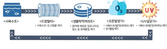 라온바다의 순환여과식 양식 시스템. 바닷물을 순환 여과시켜 재활용한다. 라온바다 제공